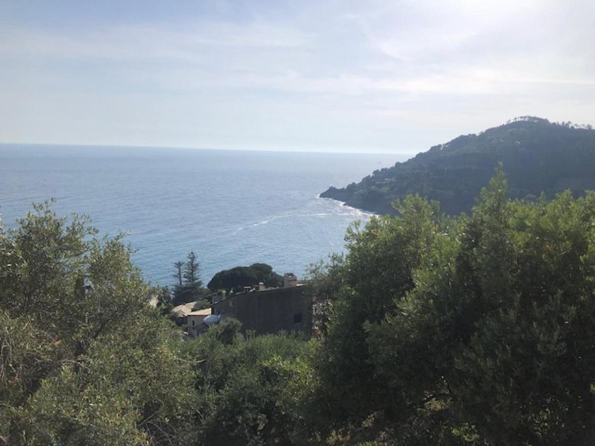 Casa Orchidea - Vista Mare Meravigliosa Bonassola Exteriör bild