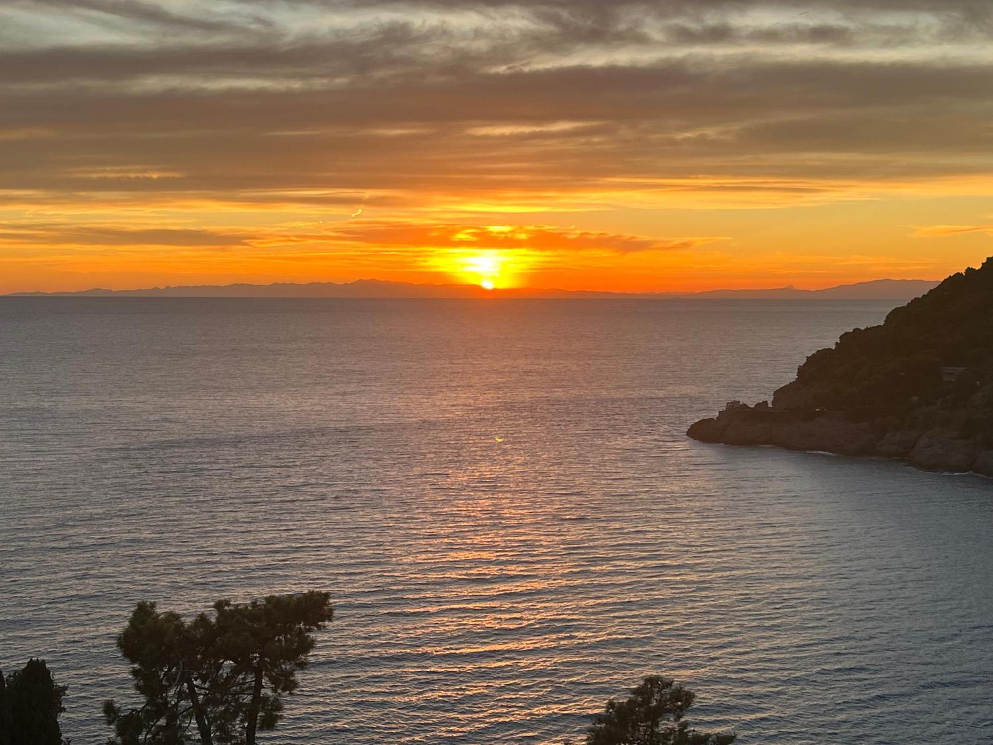 Casa Orchidea - Vista Mare Meravigliosa Bonassola Exteriör bild