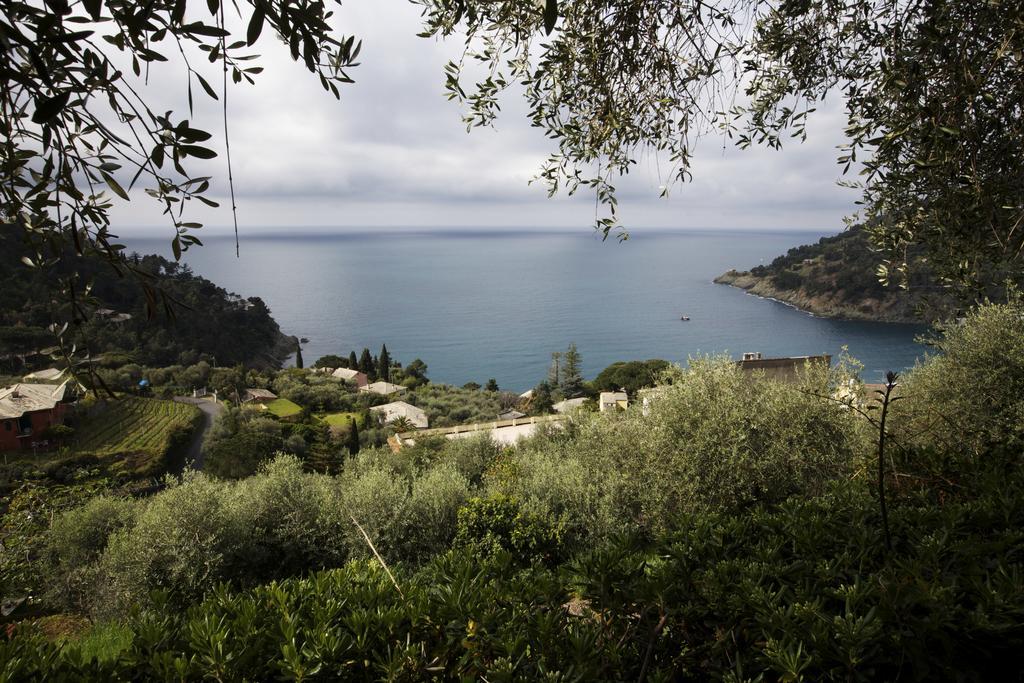Casa Orchidea - Vista Mare Meravigliosa Bonassola Rum bild